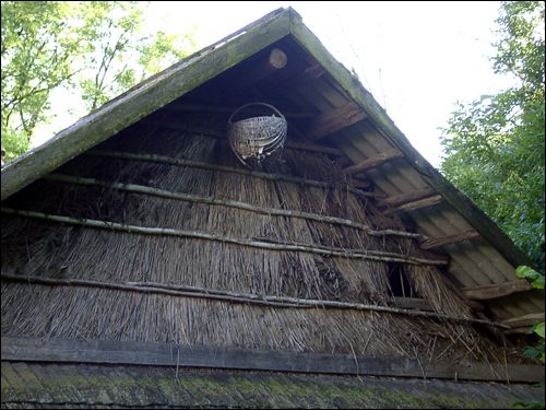 Patupy. In the village 