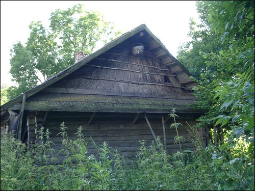 Patupy. In the village 