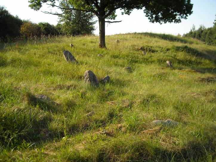  - Cmentarz żydowski. 