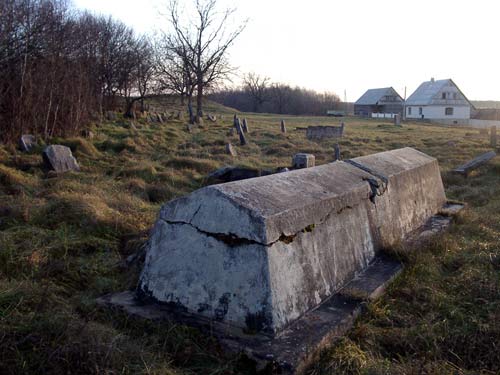  - Cmentarz żydowski. Nagrobek na cmentarzu, 11 2006