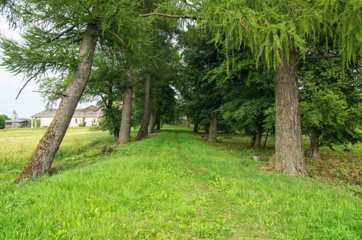 Psuja. Manor park 