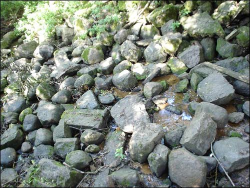  - Zespół dworsko-parkowy Molle. 