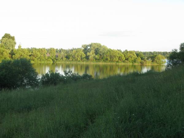 Suša. Landscapes
