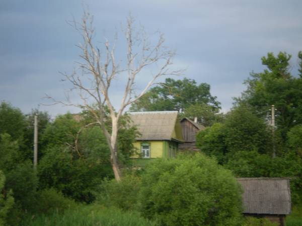 Suša. Landscapes