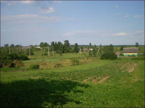 Stasieva. Landscapes