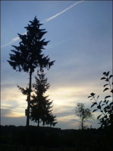 Stasieva. Landscapes