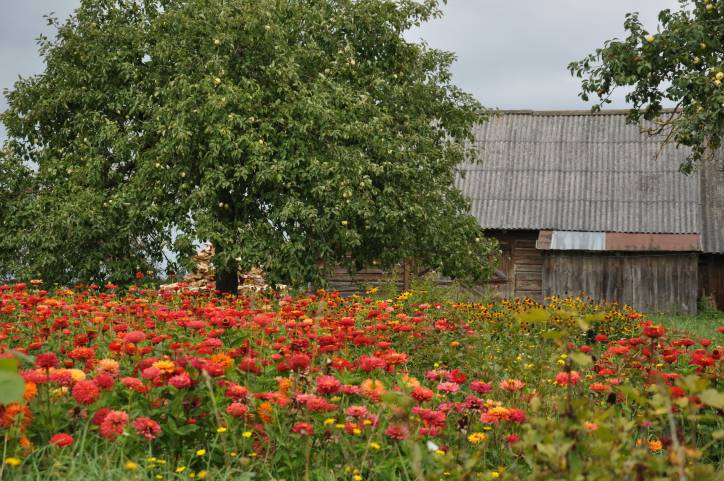 Łučaj. In the village 