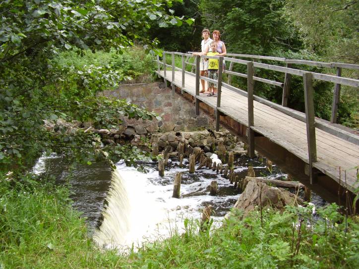 Mańkowicze. Park dworski 