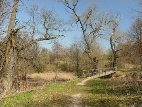 Mańkowicze. Park dworski 
