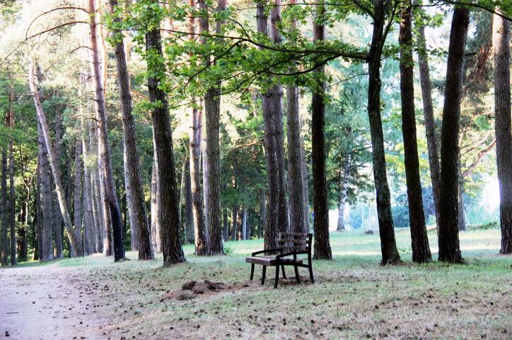  - Приусадебный парк . 