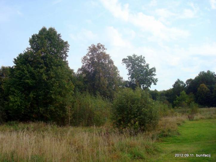 Arciejkavičy. Landscapes 