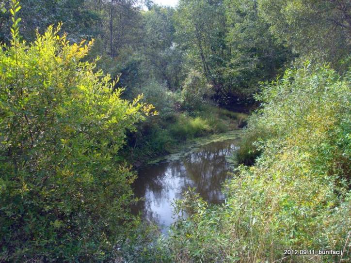 Arciejkavičy. Landscapes 