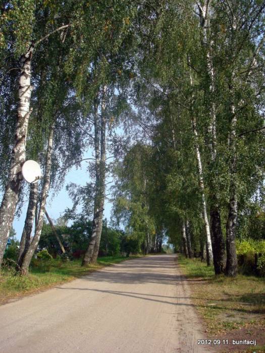  - В деревне . Улица на Артейковичи