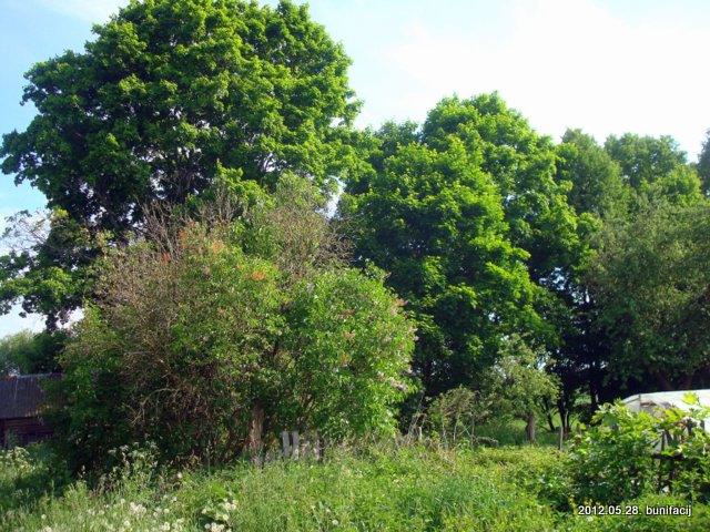 Kazimirova (Zavozierski). Landscapes 