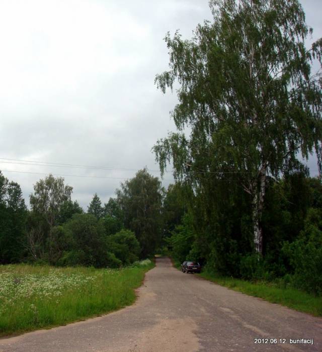 Sołoniewicze. Krajobrazy 