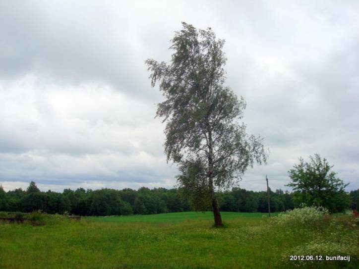 Sołoniewicze. Krajobrazy 
