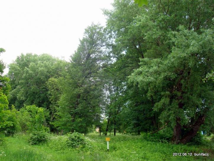  - Краявіды . 