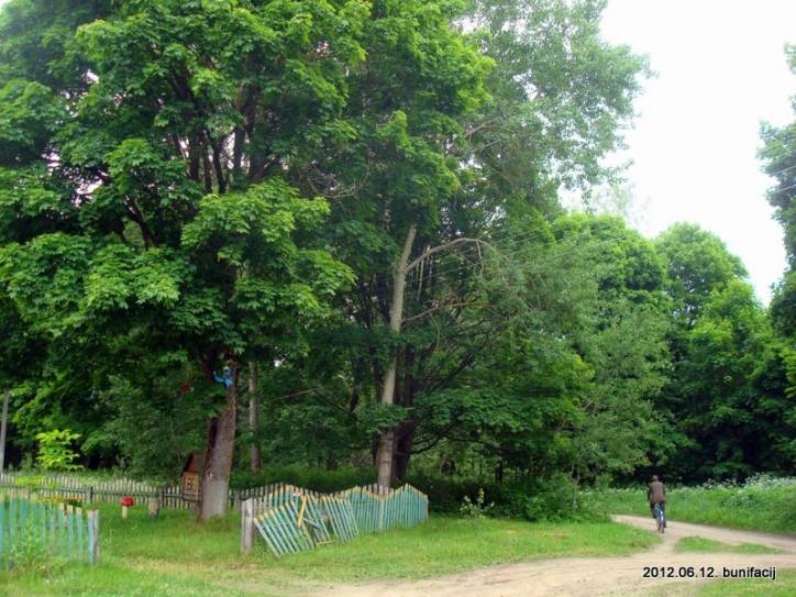  - Краявіды . 