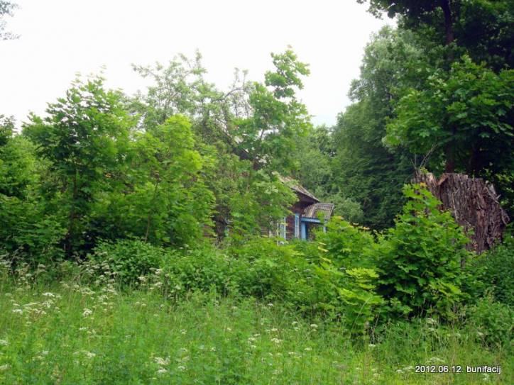 Двор Пліна. Краявіды 