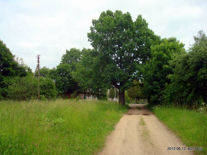  - Краявіды . 