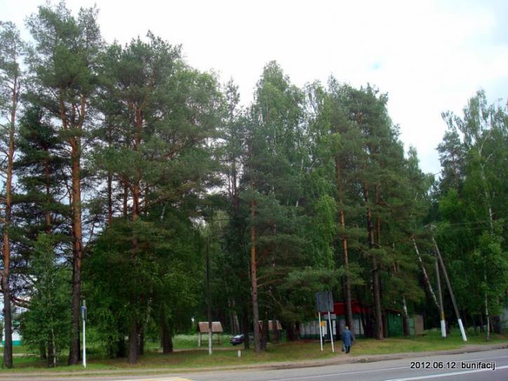 В Сорочино Сорочино. Пейзажи