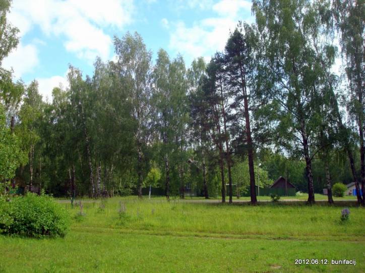 Вид от кладбища на деревню Сорочино. Пейзажи