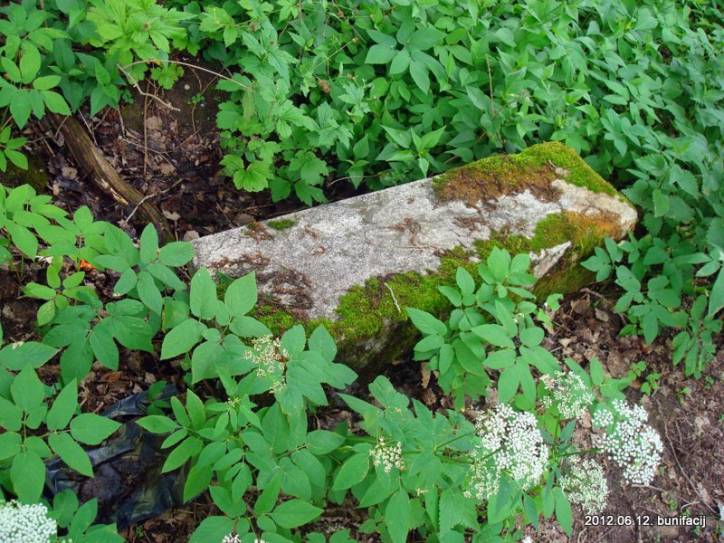 Ušačy. cemetery Old Catholic