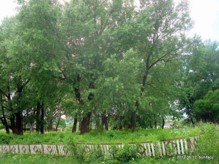 Ušačy. cemetery Old Catholic