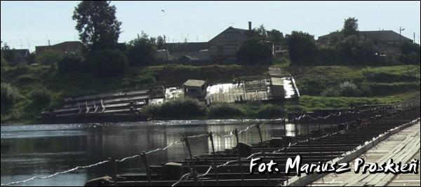  - Краявіды . 