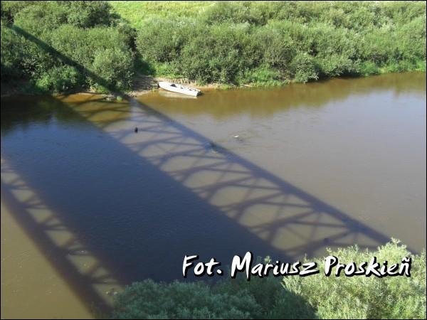  - Краявіды . 