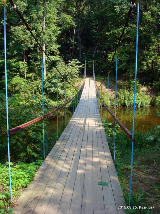  - Park dworski Łopacińskich. 