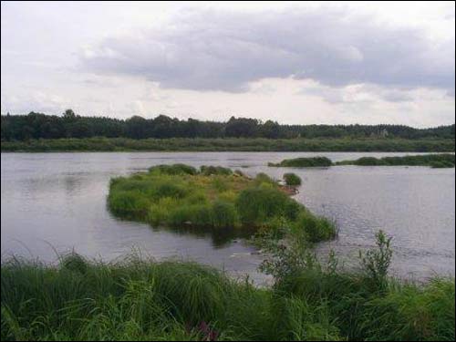 Kuryna. Landscapes 