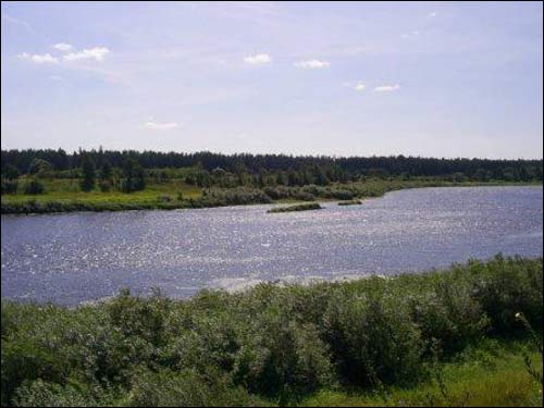 Kuryna. Landscapes 