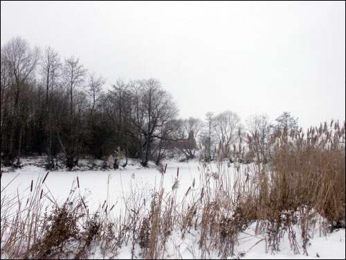 Maračoŭščyna (Kosava). Landscapes 