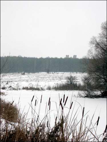 Maračoŭščyna (Kosava). Landscapes 
