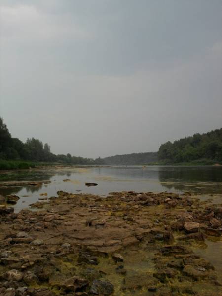 Zdraŭnieva (Kojtava). Landscapes