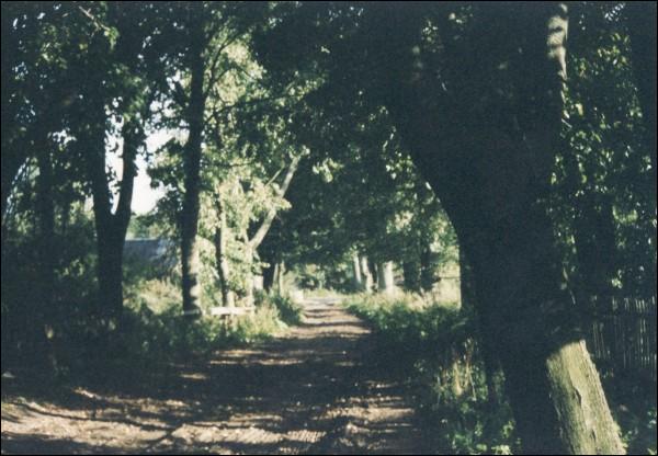 Hałošava. Landscapes 