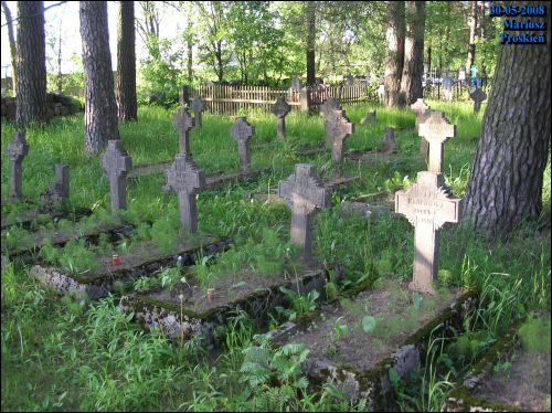  - Cmentarz żołnierzy polskich poległych podczas wojny 1920 r.. Fragment cmentarza