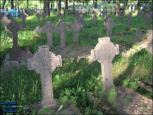  - Cmentarz żołnierzy polskich poległych podczas wojny 1920 r.. Fragment cmentarza