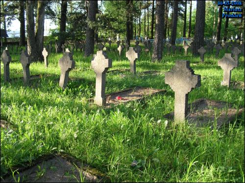  - Cmentarz żołnierzy polskich poległych podczas wojny 1920 r.. Fragment cmentarza