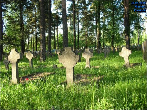  - Cmentarz żołnierzy polskich poległych podczas wojny 1920 r.. Fragment cmentarza