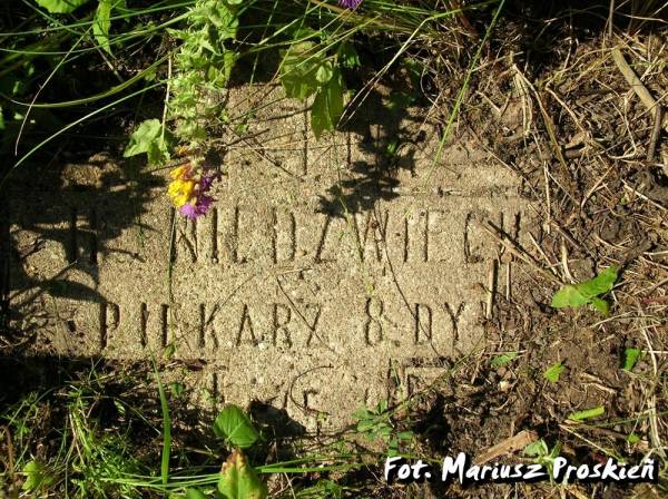 Kruleŭščyna (Karaleŭščyna). cemetery Soldierly