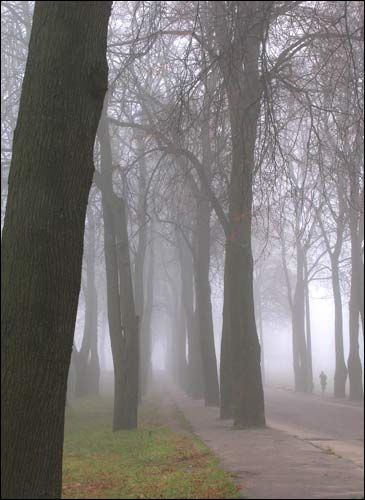 Łukiški (Viciebsk). Manor park (fragments)