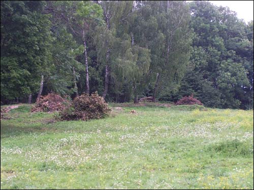  - Manor park . The place of the former Justyanów manor
