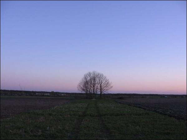 Dastojeva. In the village 