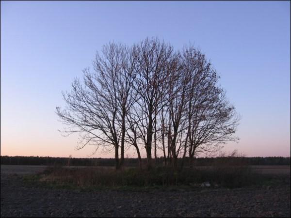 Dastojeva. In the village 