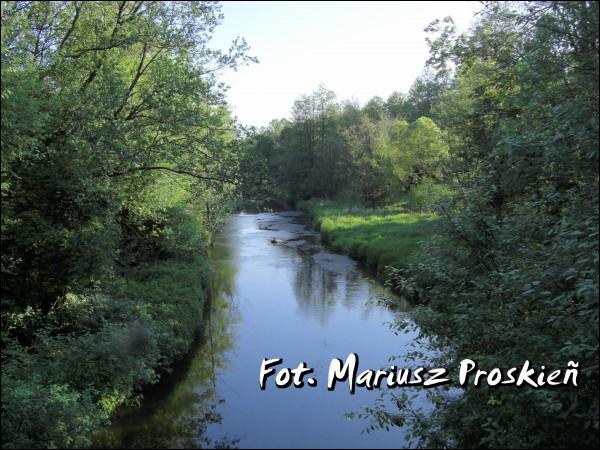 Mikniškės. Landscapes 