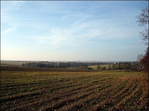 Mikniškės. Landscapes 