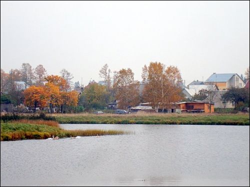  - Ulice miasta . Staw w mieście