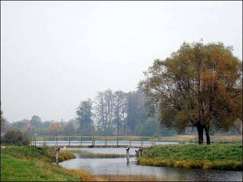  - Ulice miasta . Wysepka na stawie